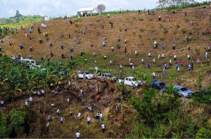 Récord Mundial!. En Filipinas plantan 3.2 millones de árboles en una hora.