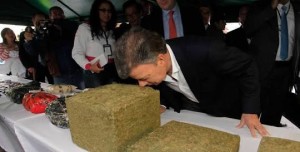 Presidente de Colombia legalizó la marihuana para uso medicinal