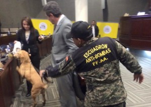 Con perros antibombas pretenden intimidar a diputados en el Congreso