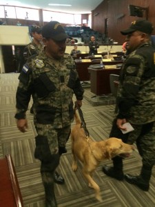 perros2