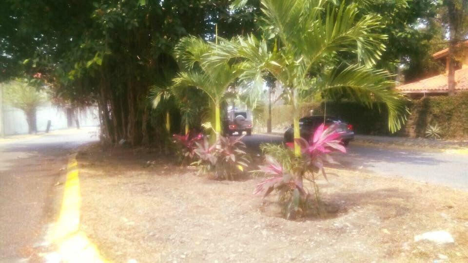 photo_2016-04-26_18-45-29