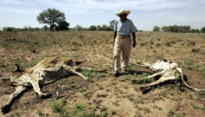 Honduras figura en la lista de países más afectados por El Niño