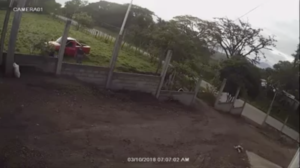 Olancho: Hombre mata a un perro porqué le comió sus gallinas