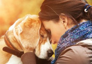 Why losing a dog can be harder than losing a relative or friend