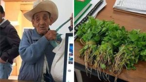 Anciano paga trámite personal con manojos de culantro