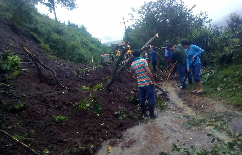 Santa Barbara, Honduras: responders and locals clearing debris on a muddy slope with uprooted trees near the Chamelecón river as a green alert from Copeco is issued