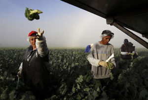 La mitad de las víctimas de Covid en Texas son latinos