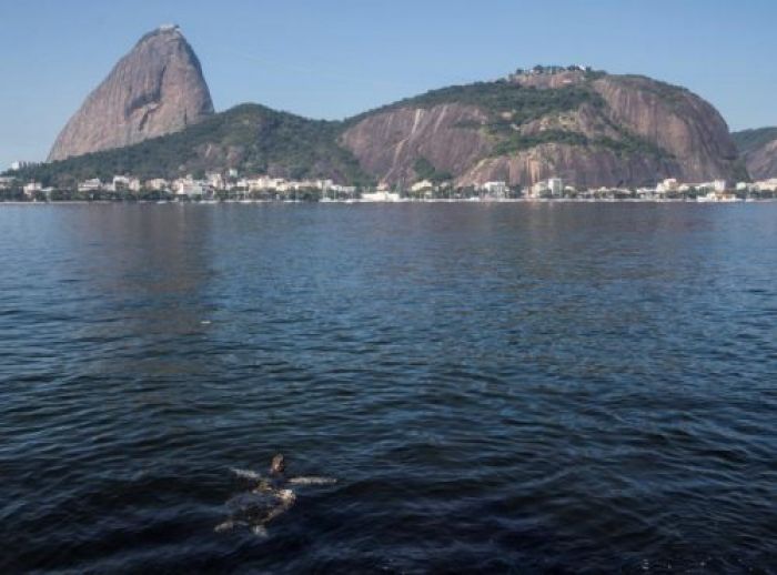 Bahía en Brasil