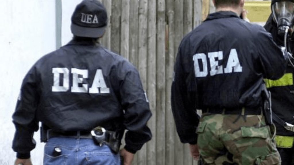 Los manifestantes podrán ser investigados por la DEA.