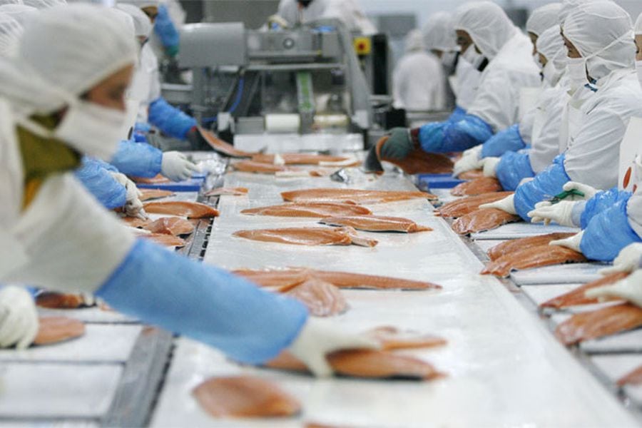 Salmón es vinculado a rebrote en China