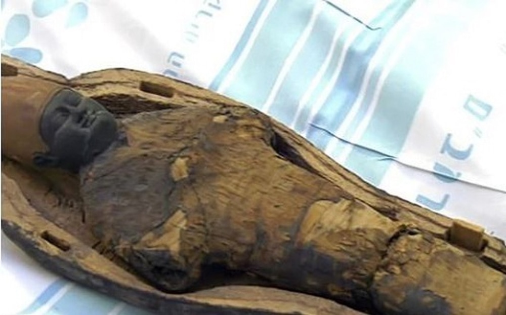 Momia “niño” egipcia no es humana, según científicos, Museo Británico