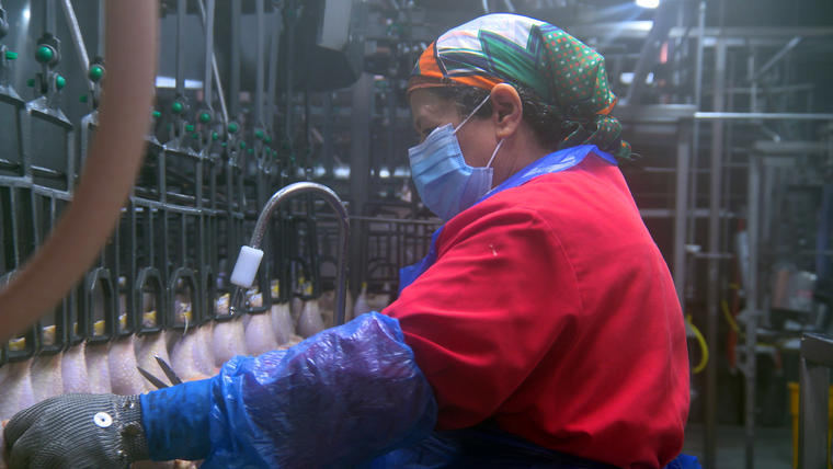 Trabajadores latinos en EEUU entre el miedo al Covid-19 y el temor de perder su empleo. repunte, 800 mil