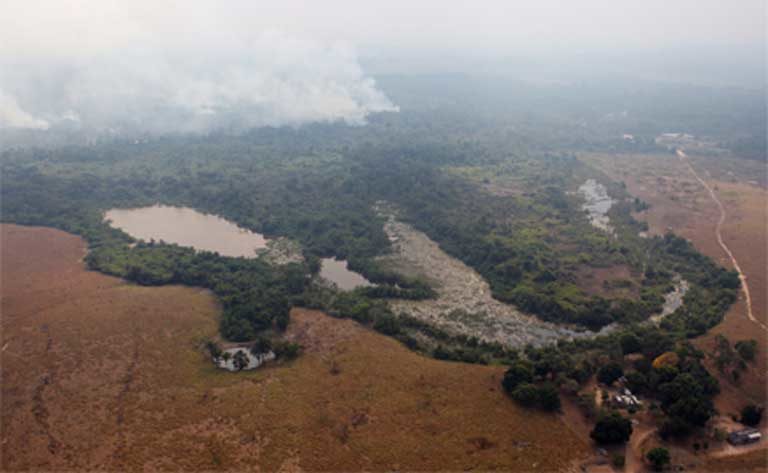 Amazonia en Brasil daños ambientales por la ocupación.