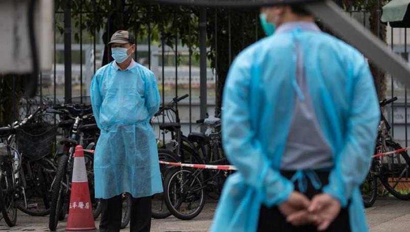 China confirma caso de peste bubónica