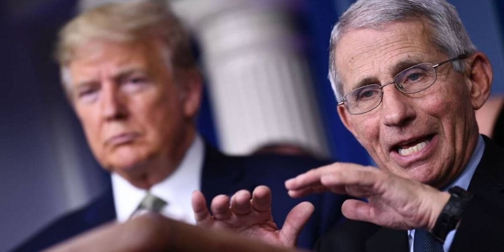 Fauci en problemas con La Casa Blanca por disputa con Trump