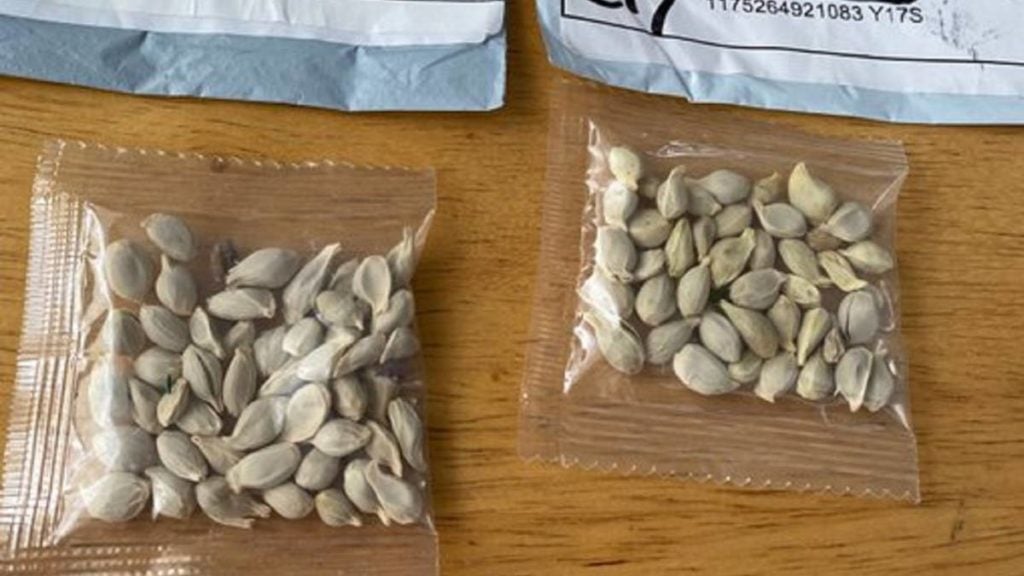 Miles de estadounidenses han recibido semillas provenientes de China.