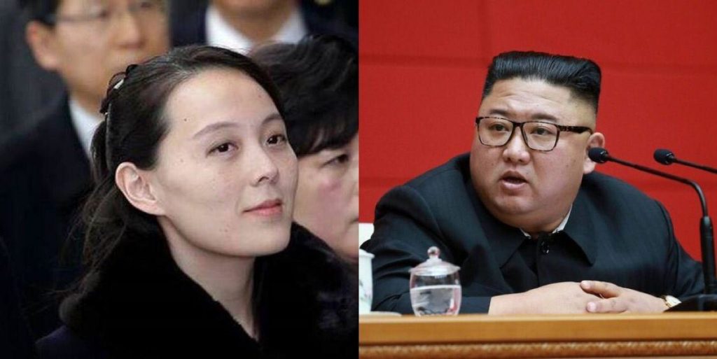 Kim Jong-un coma