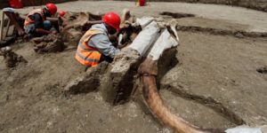 Encuentran decenas miles de huesos de mamuts en la Ciudad de México