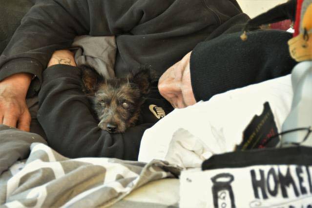 Indigente llora desesperado luego que le robaran a su perro