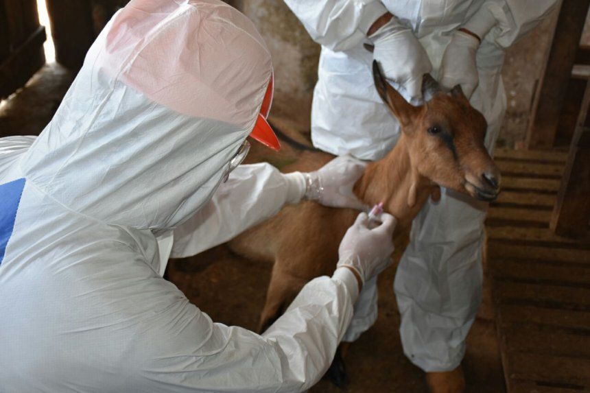 China: Se escapa bacteria de laboratorio e infecta a tres mil personas.