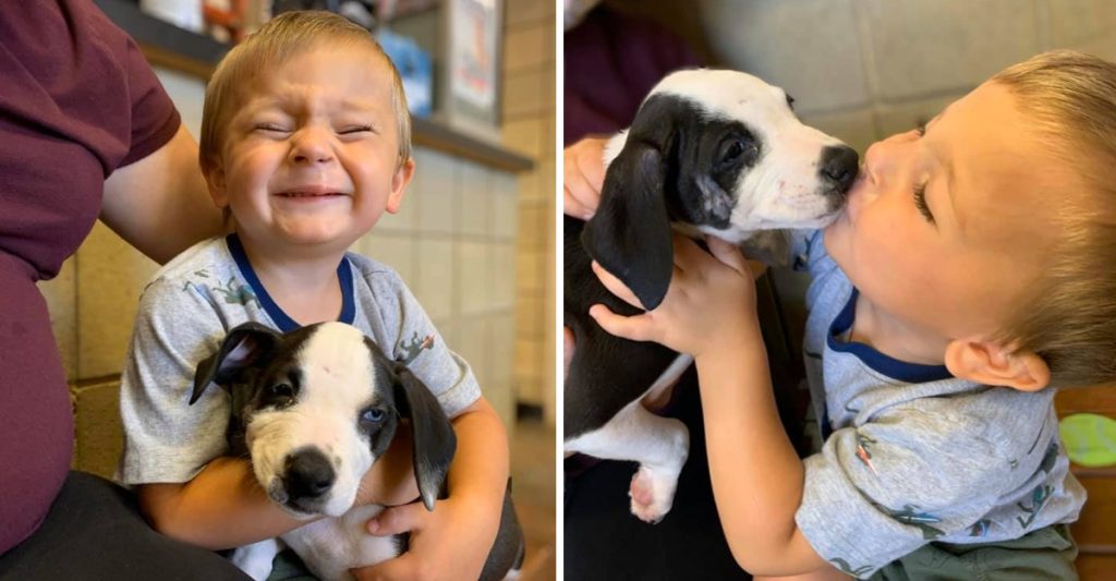 Niño con labio leporino adopta cachorro con labio leporino