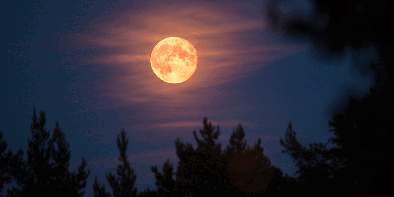 El último plenilunio del verano: La Luna del fantasma hambriento
