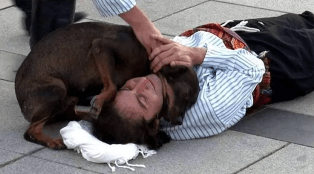Perrito callejero se lanza sobre actor que finge estar herido para consolarlo.