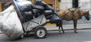 México busca encarcelar a quienes usen burros y caballos para labores de carga