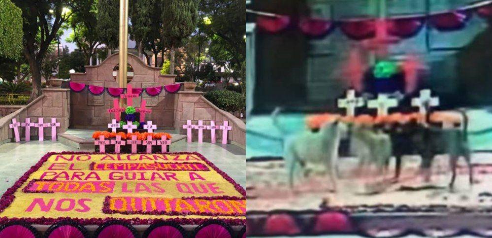 Perros destruyen homenaje feminista del Día de los Muertos y causan revuelo.
