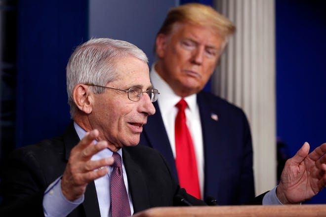 TRUMP analiza despedir a Fauci.