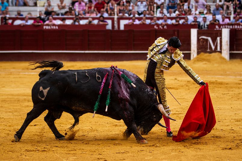 UNESCO: Tauromaquia no será Patrimonio de la Cultura Inmaterial de la Humanidad en el 2020.