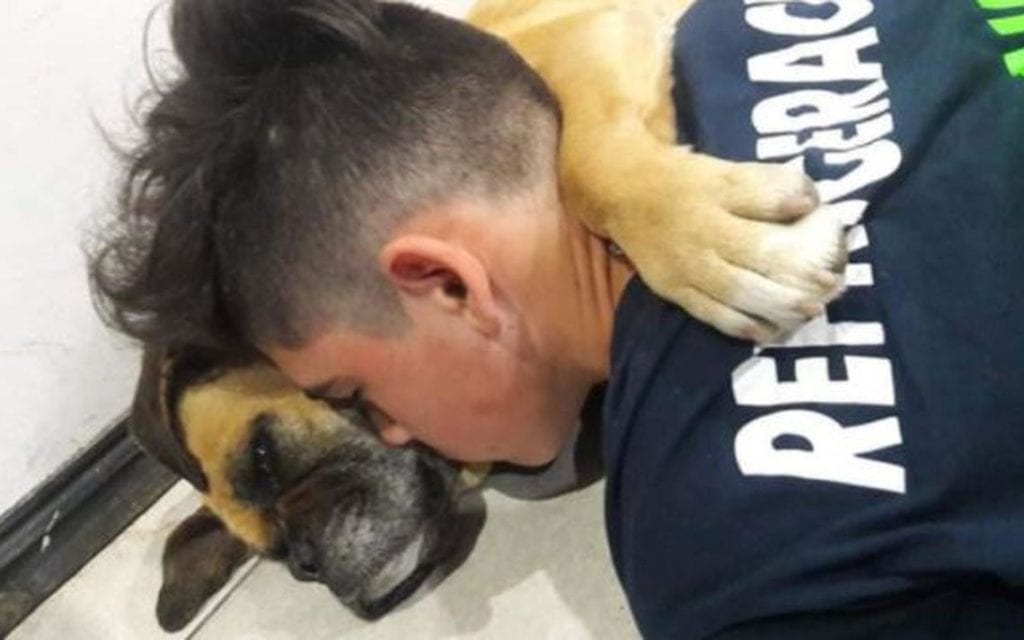 Perra muere abrazada a su amo tras sufrir un paro por terror a la pirotecnia