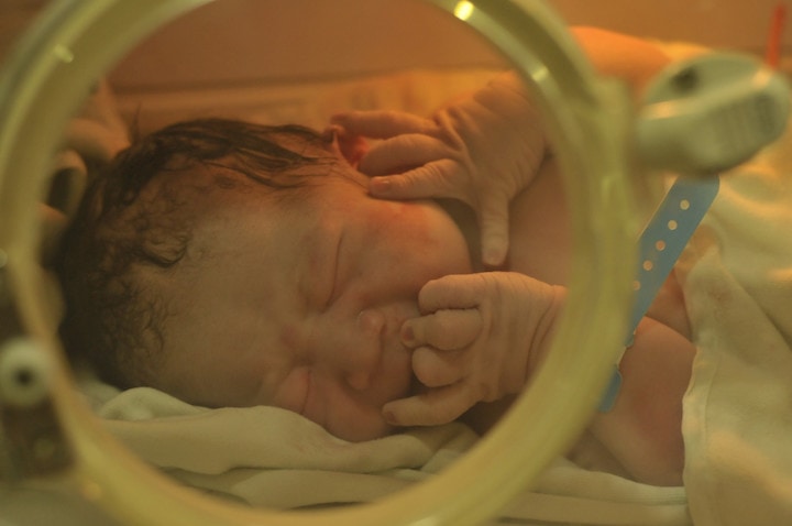 Con placenta artificial buscarán salvar la vida de bebés prematuros
