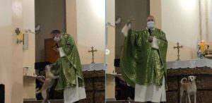 Sacerdote  acoge y lleva perritos callejeros a misa para promover la adopción