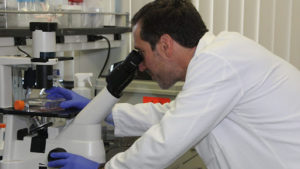 Anuncian una victoria en la batalla contra la leucemia: fármaco da resultados prometedores