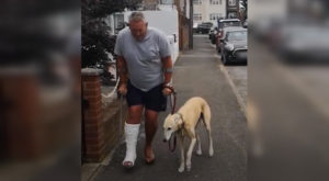 Hombre gasta miles de dólares para sanar a su perro ‘cojo’ y descubre que era un gesto de amor