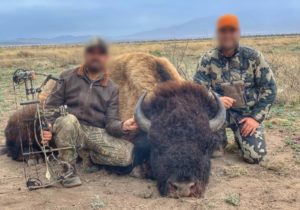 Tras cien años de no aparecer en México, publican fotografías de cazadores con bisonte muerto