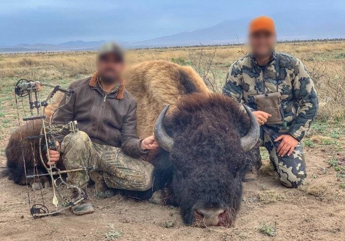 Tras cien años de no aparecer en México, publican fotografías de cazadores con bisonte muerto