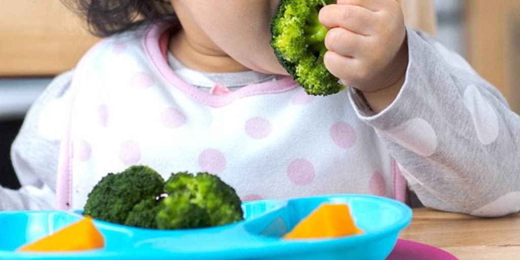 dieta de vegana