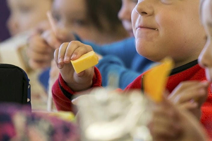 Programa de alimentos