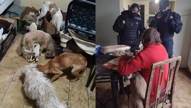 Policía organiza colecta para que abuelita sobreviva junto a sus cinco perros