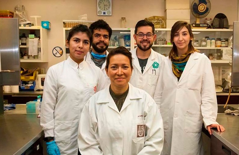 Científicos desarrollan la cura para el Papiloma Humano