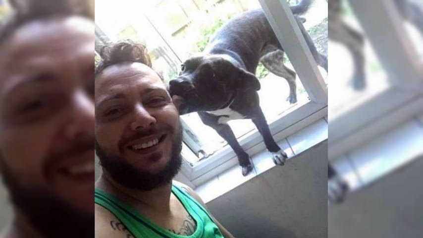 Hombre exige que le devuelvan a su perrita que fue dada en adopción tras ser confundida como un perro callejero