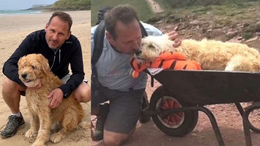 Hombre cumplió el último deseo de su perrito moribundo, lo llevó a su lugar favorito