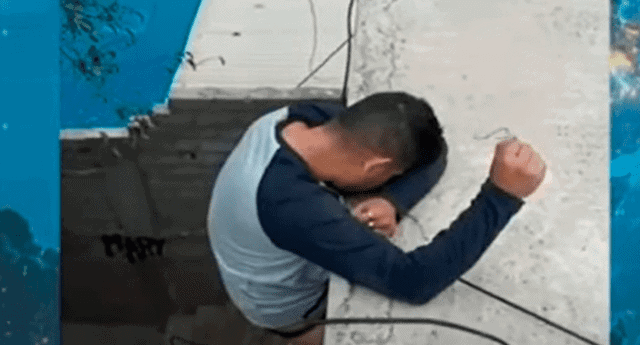 Ladrón pierde el celular donde guardaba su tesis durante un atraco a una vivienda