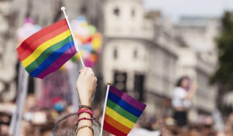 Suiza aprueba el matrimonio homosexual, suiza