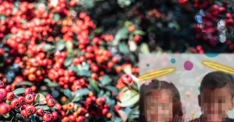 Hermanitos de 3 y 5 años murieron tras comer un fruto del jardín que era venenoso