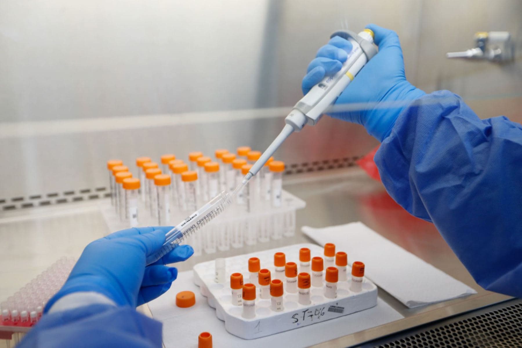 P5C3, el poderoso anticuerpo capaz de atacar las variantes del coronavius