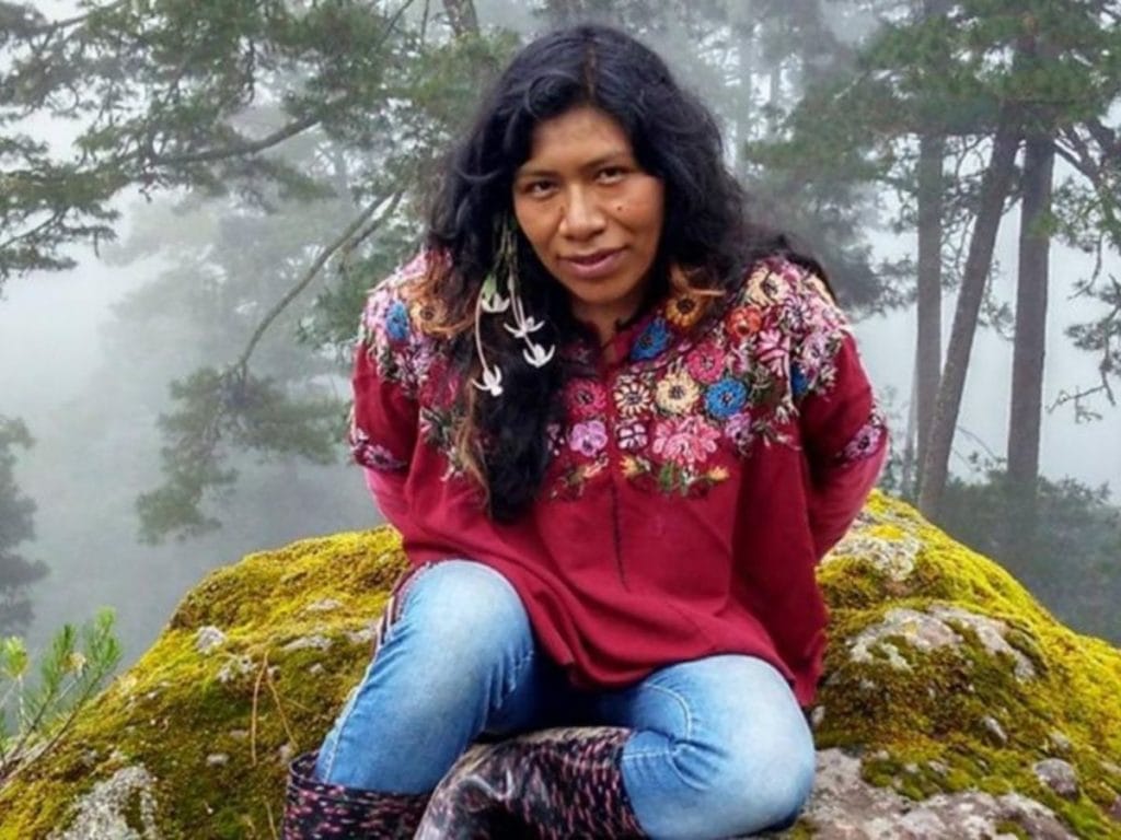 Alarma en México por la desaparición de la ambientalista Irma Galindo