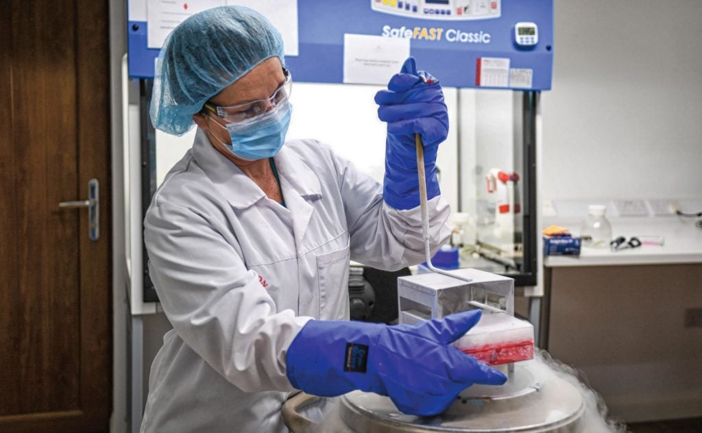 Varias especies en peligro de extinción podrían ser salvadas mediante congelación criogénica